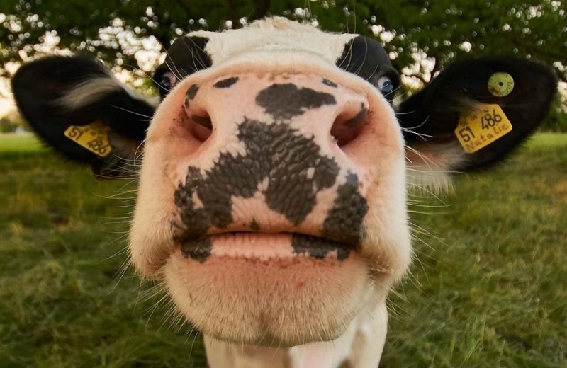 Bezoekboerderij Leven van de Wind